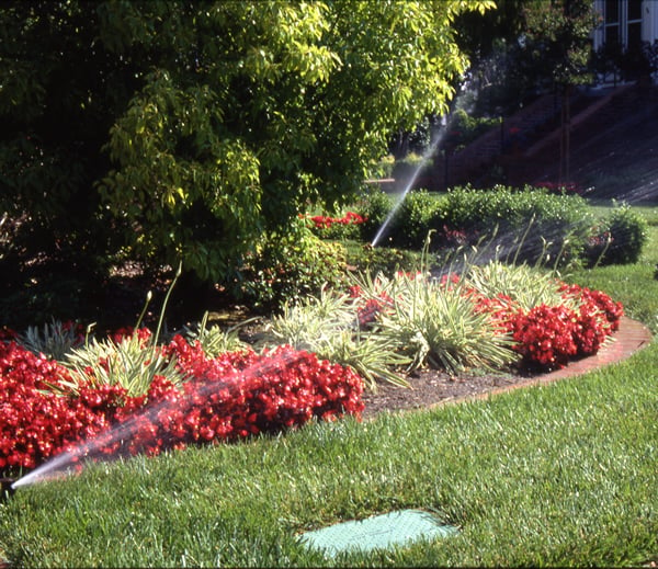 Bethpage Water District Provides Crucial Tips Ahead of Irrigation Season