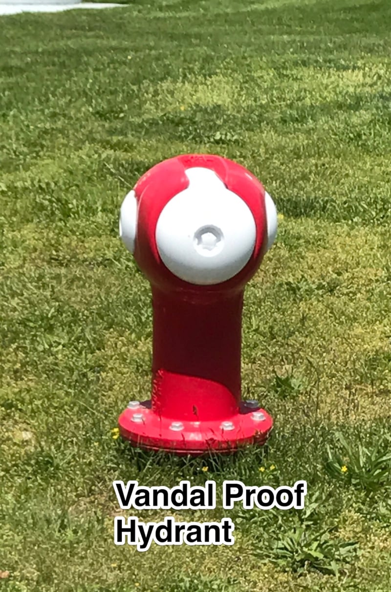 Every town has fire hydrants. Which type is near YOUR home?